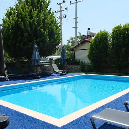 Sardunya 3* فتحية