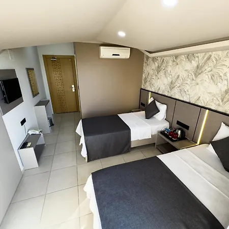 Sardunya 3* فتحية