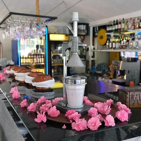 Sardunya 酒店 费特希耶