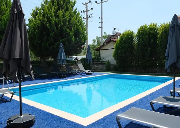 Sardunya 3* فتحية