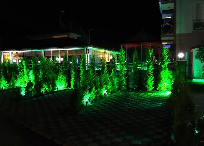 Sardunya 3* فتحية