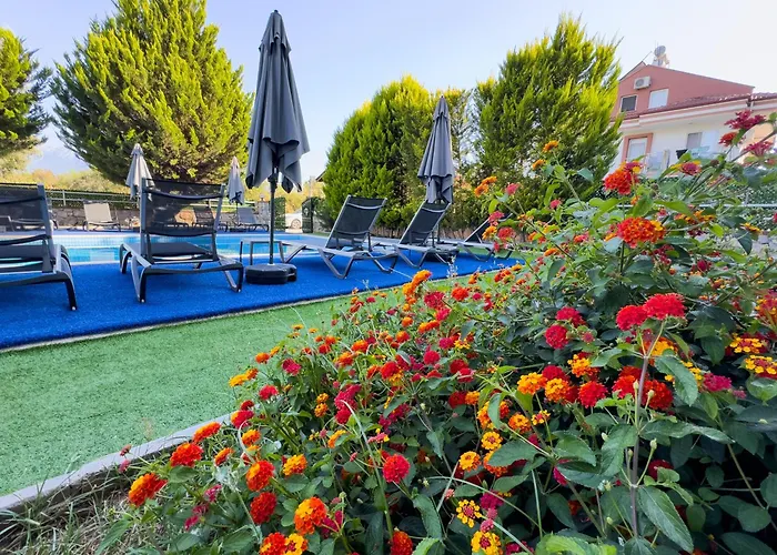 فندق Sardunya فتحية