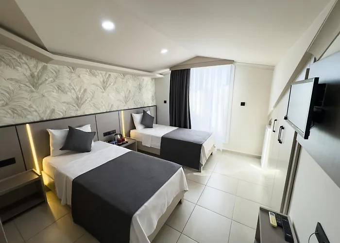Sardunya 3* فتحية