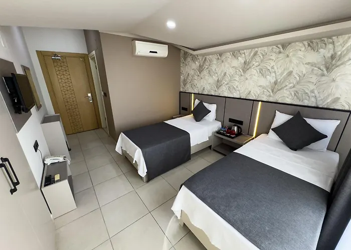 Sardunya 3* فتحية